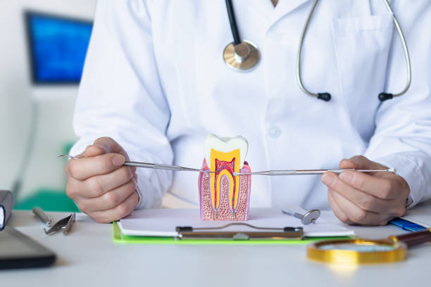 Best Emergency Wisdom Teeth Removal in Bentleyville, PA